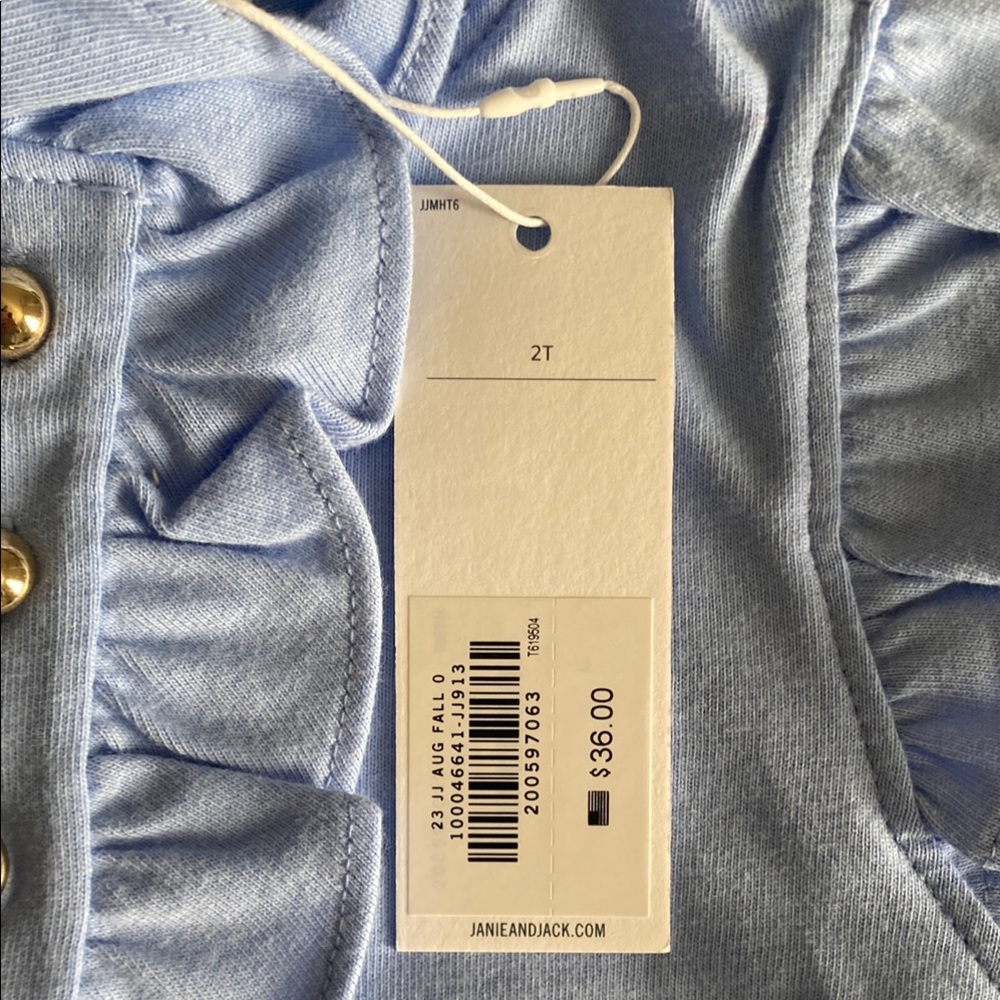 Janie and Jack Blue Ruffle Sleeve Blouse - Picture 6 of 6